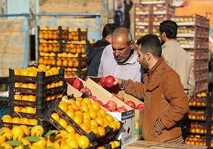 آغاز توزیع میوه شب عید از امروز در سراسر استان اردبیل