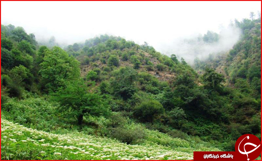 سفر به شهر سیر در ایام نوروز + تصاویر