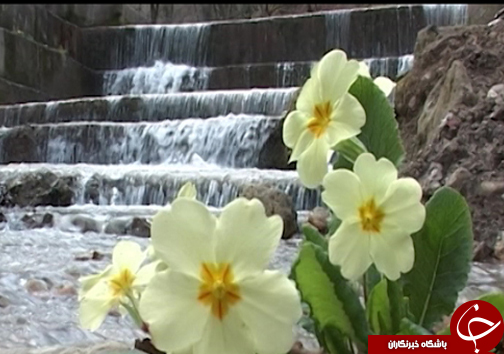 که مازندران شهر ما یاد باد، همیشه بر و بومش آباد باد +فیلم
