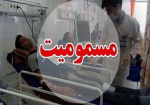 نورواک، عامل اپیدمی اسهال و استفراغ در قروه / آلودگی آب و گوشت در این منطقه منتفی است