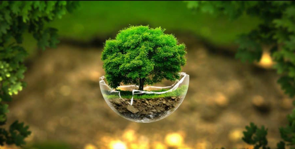 رویداد‌های مهم محیط زیست در آخرین ماه سال ۹۷