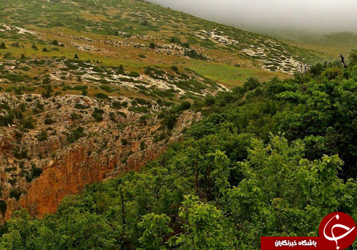 کردکوی ، سرزمین پدیده های طبیعی /جهان نما،نمایی از طبیعت کم نظیر ایران