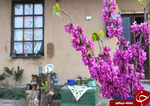 بندرگز شهرستانی با ساحل زیبای خزر و جنگل&zwnj;های انبوه