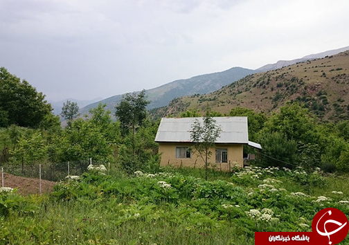 بندرگز شهرستانی با ساحل زیبای خزر و جنگل&zwnj;های انبوه