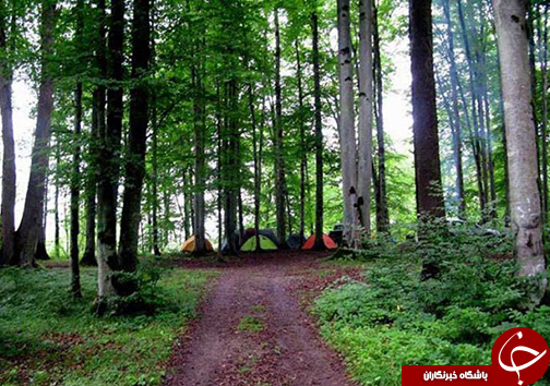 بندرگز شهرستانی با ساحل زیبای خزر و جنگل&zwnj;های انبوه