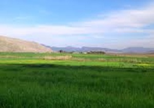 گوشه‌ای از طبیعت زیبا و سرسبز "زیردو" + فیلم