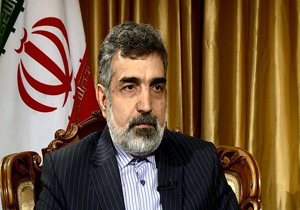 دستاورد‌های جدید هسته‌ای کشور در فروردین سال آینده رونمایی می‌شود