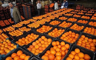 توزیع ۷۰تن میوه در پنج نقطه شهرستان آران و بیدگل