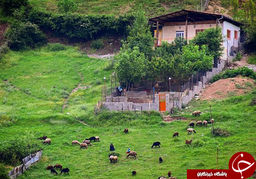 گرگان شهری سرسبز و زیبا با جاذبه&zwnj;های دیدنی