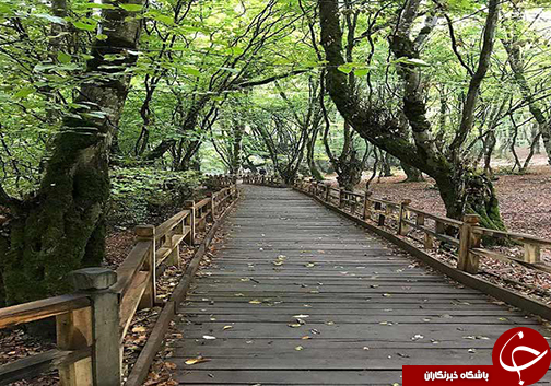 گرگان شهری سرسبز و زیبا با جاذبه&zwnj;های دیدنی