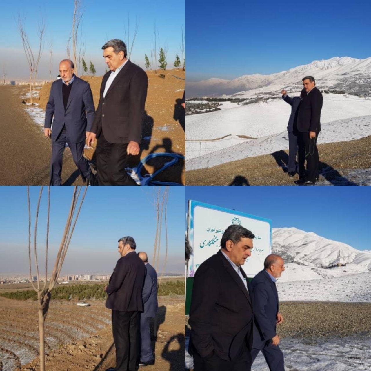 بازدید صبحگاهی حناچی از پروژه کمربند سبز تهران در تلو