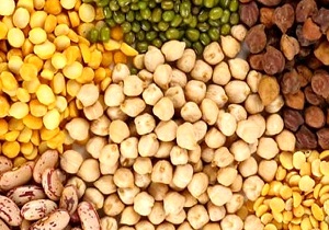 رتبه نخست دلفان در تولیدحبوبات لرستان
