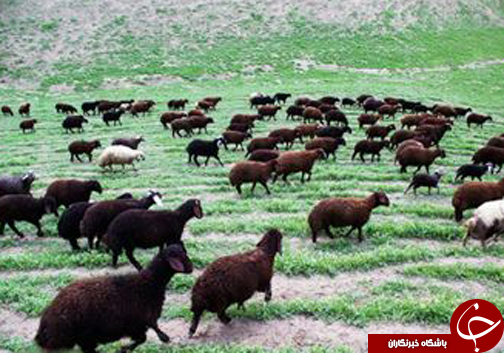 شهرزیبا وتاریخی مراوه تپه پذیرای گردشگران نوروزی