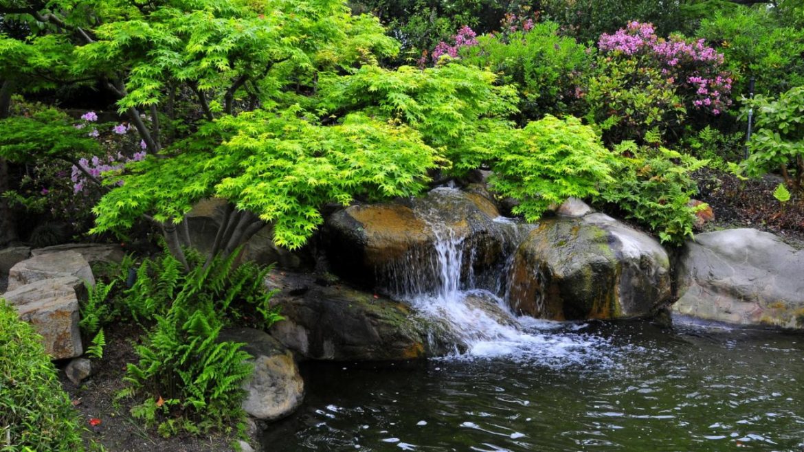 صدای پای بهار در سرزمین برف و آفتاب