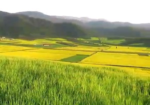 فیلمی از مناظر بکر و بی‌نظیر در روستای مرزین