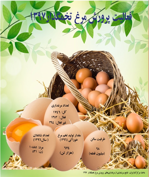 تولید ٦٧٤ هزار تن تخم مرغ در سال گذشته