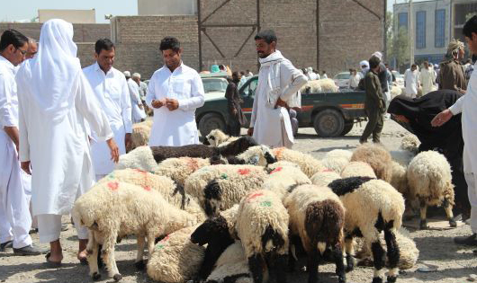 آنچه در استان ها گذشت؛