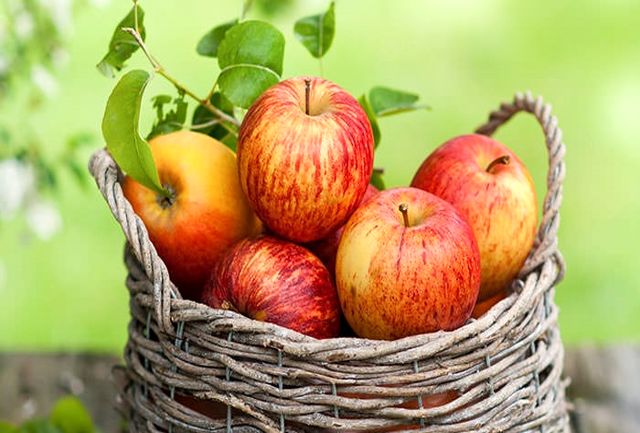 چه میوه باعث شادابی در فرد می شود