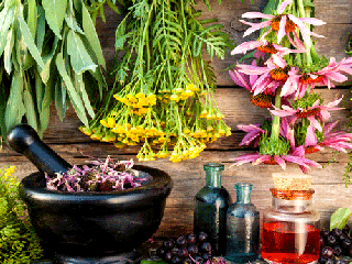 گیاهان دارویی چربی سوز در طب سنتی را بشناسید