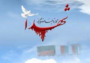 دیدار فرمانده ناجا با خانواده شهید صادق حلفی