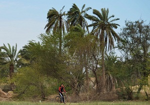 روستاهای آبادان آماده استقبال از مهمانان و گردشگران نوروزی