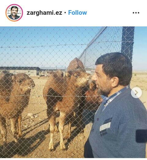 با تورم بیش از ۲۰ درصد جواب این شتر رو چی بدیم!