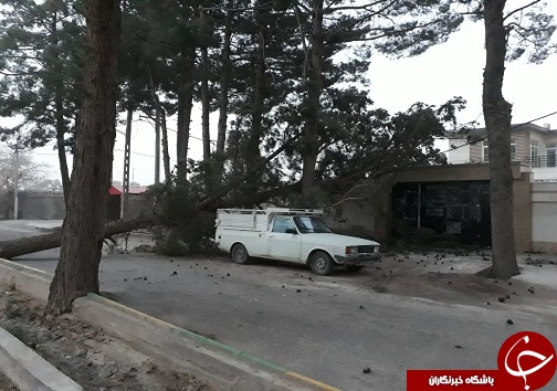 خسارت طوفان در خراسان جنوبی/ قطع برق در بعضی شهر&zwnj;ها+تصاویر