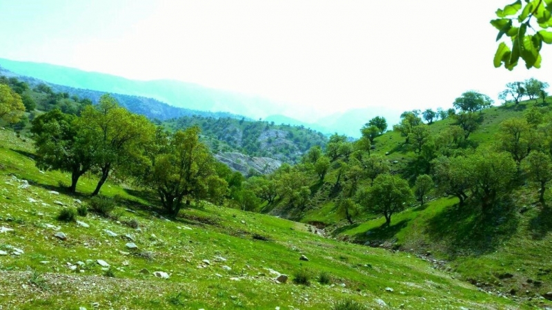 جاذبه&zwnj;های بکر گردشگری آبدانان در انتظار گردشگران/ اینجا سفره پذیرایی از مهمانان نوروزی پهن است