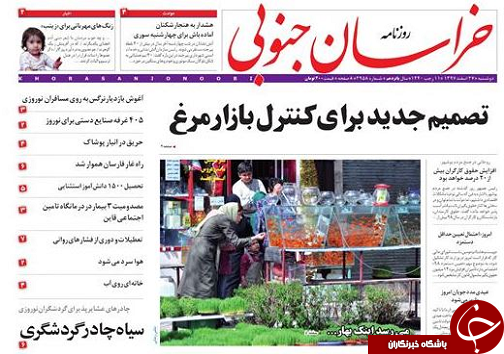 تصمیم جدید برای کنترل بازار مرغ