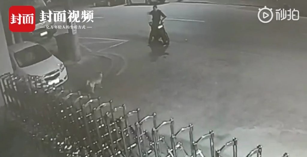 صحنه عجیبی که مرد مست در خیابان رقم زد! + فیلم/////