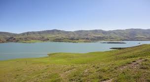 خودکفایی در ساخت تمامی وسایل دامداری اتوماتیک