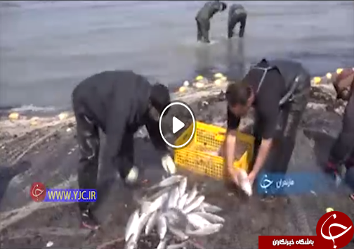 سرزمین آبشار&zwnj;ها در انتظار مسافران نوروزی تا آش چهارشنبه آخر سال در مازندران + فیلم