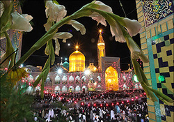 خانه تکانی و گلباران حرم رضوی