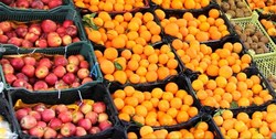 ذبح گوسفندان دم دراز برای تنظیم بازار گوشت + فیلم