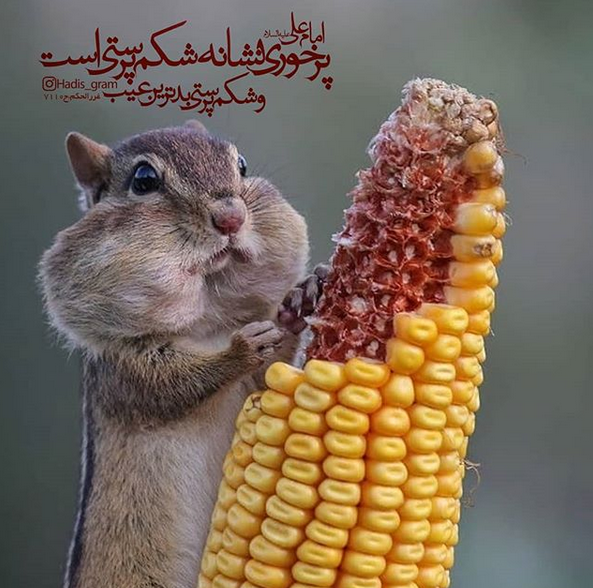 حدیث