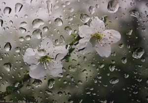 چهارشنبه سوری بارانی و سرد زمستانی در انتظار همدانی ها