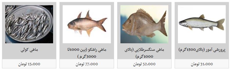 قیمت ماهی در آستانه سال نو