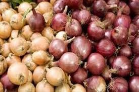 کاهش قیمت سیب زمینی و پیاز از هفته آینده