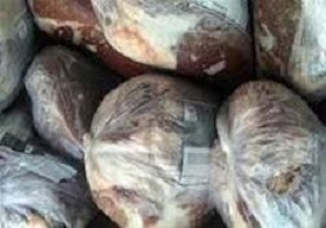 معدوم سازی ۲۰ تن مواد خام دامی در کوهدشت