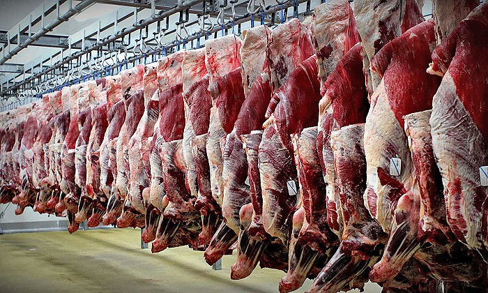 واردات آخرین محموله گوشت قرمز گرم از قزاقستان در سال ۹۷