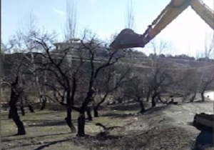 قطع بی‌رحمانه درختان در شهرستان سامان + فیلم
