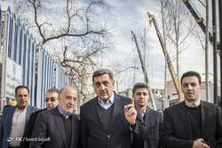 درختانی که نفس نمی‌کشند