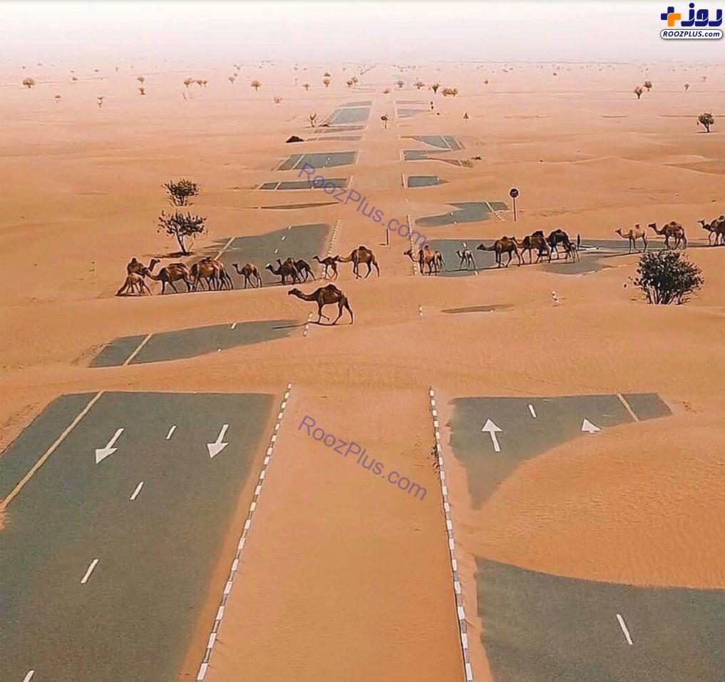 آزاد راه منتهی به ابوظبی + عکس