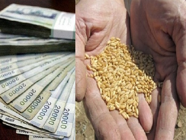 آيا نرخ ۱۷۰۰ تومانی گندم جوابگوی هزینه‌های کشاورزان است؟
