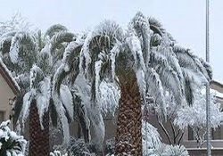 برف گریبان اراک را گرفت + فیلم