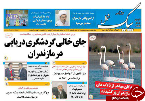 طلوع تازه پس از افول طولانی در اتاق مازندران/ پرندگان مهاجر از تالاب&zwnj;های مازندران پر کشیدند