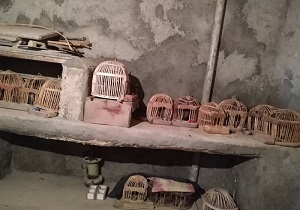 دستگیری صیاد غیر مجاز در سنندج