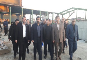 کارخانه زرین چوب آرتاویل ۸۰ درصد نیاز کشور را تامین می‌کند