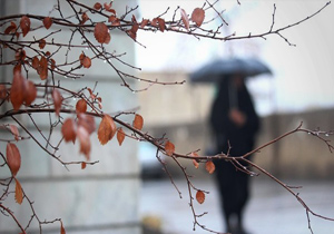 آغاز بارش‌های پراکنده زمستانی از امروز