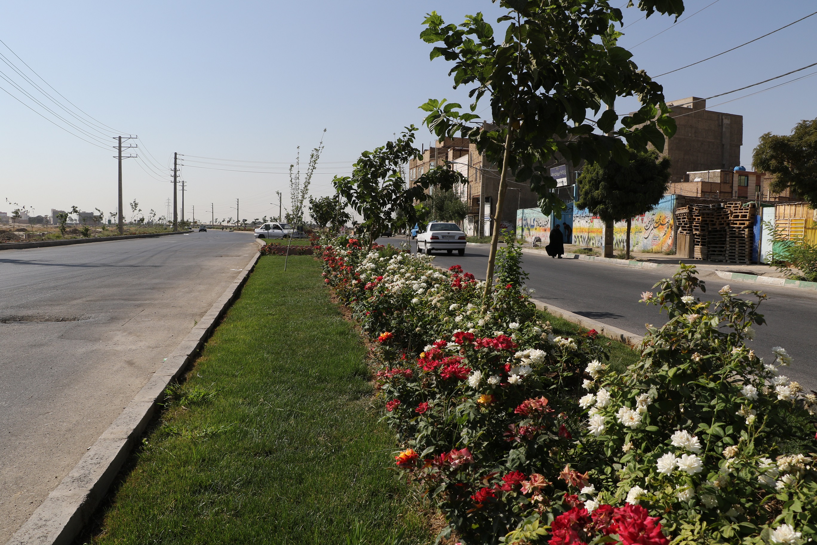 بوشهر به استقبال بهار می‌رود